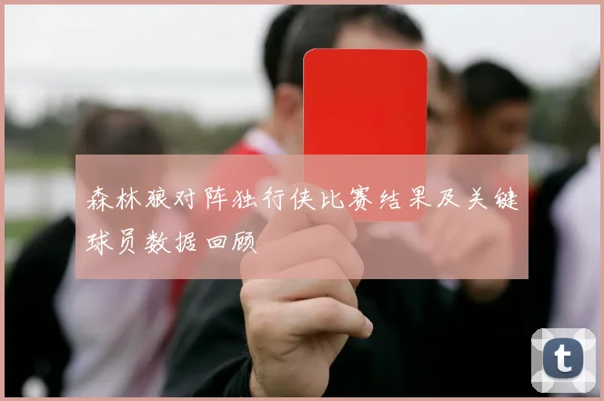 森林狼对阵独行侠比赛结果及关键球员数据回顾